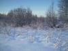 DSC01257.jpg