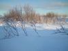 DSC01254.jpg