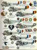 Aircraft Profile 049 - Nieuport 17-11_resize.jpg