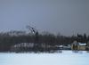 AlexSAM_0071_1.jpg