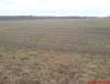 DSC00218.jpg