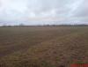 DSC00219.jpg