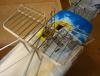 DSC00272s.jpg
