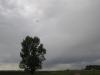 P1010017small.jpg