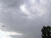 P1010018small.jpg
