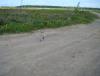 DSC00426_1.JPG