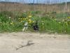 DSC00429_1.JPG