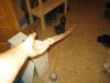 IMG_4260.jpg
