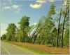 16-DSC00267.JPG