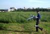 DSC00394.jpg