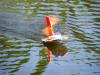 DSC00030.JPG