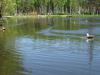 DSC00023.JPG