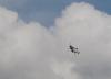 DSC08205 1.jpg