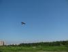 IMG_7355.JPG