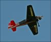 19-104.JPG