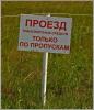 280-IMG_8587.JPG