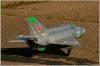 140-IMG_5561.JPG