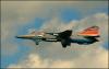 225-IMG_6609.JPG