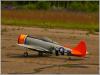 211-IMG_6549.JPG