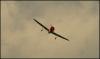 218-IMG_6573.JPG