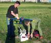 DSC00504.jpg