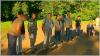 118-IMG_6273.JPG