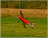 11-IMG_7355.JPG