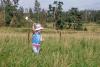 DSC00517.jpg