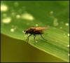 09-IMG_4204.JPG