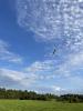 IMG_20250803_213105_343.jpg