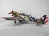 P40GREENPNF-SUB1 kitti hawk.jpg