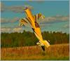 38-IMG_8204.JPG
