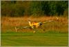 40-IMG_8210.JPG