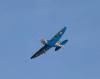 _MG_9848.jpg