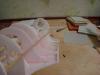 DSC03084.JPG