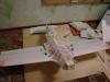 DSC03085.JPG