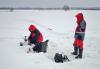 DSC01116.jpg