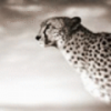 Самолет на дереве в Парке авиаторов - последнее сообщение от Cheetah78